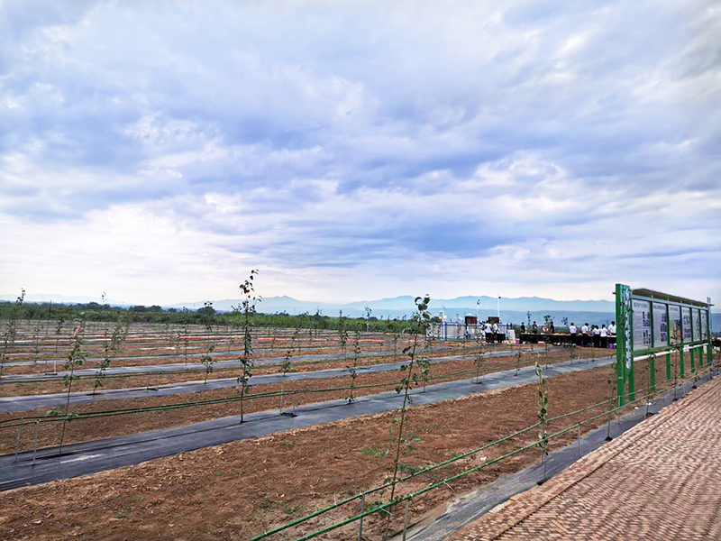 天演維真數(shù)字化鄉(xiāng)村振興