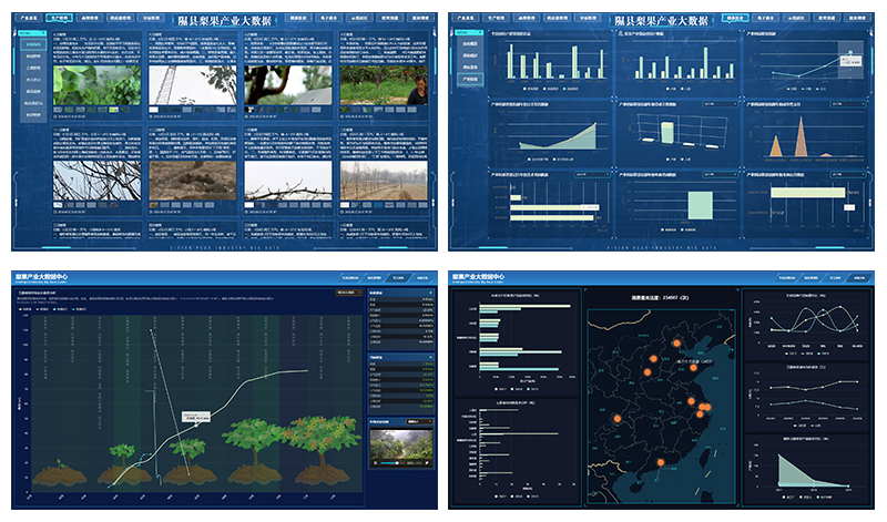 天演維真數(shù)字化鄉(xiāng)村振興