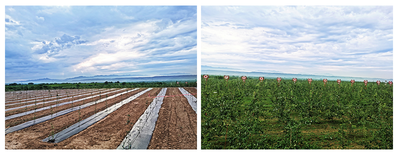 天演維真數(shù)字化鄉(xiāng)村振興