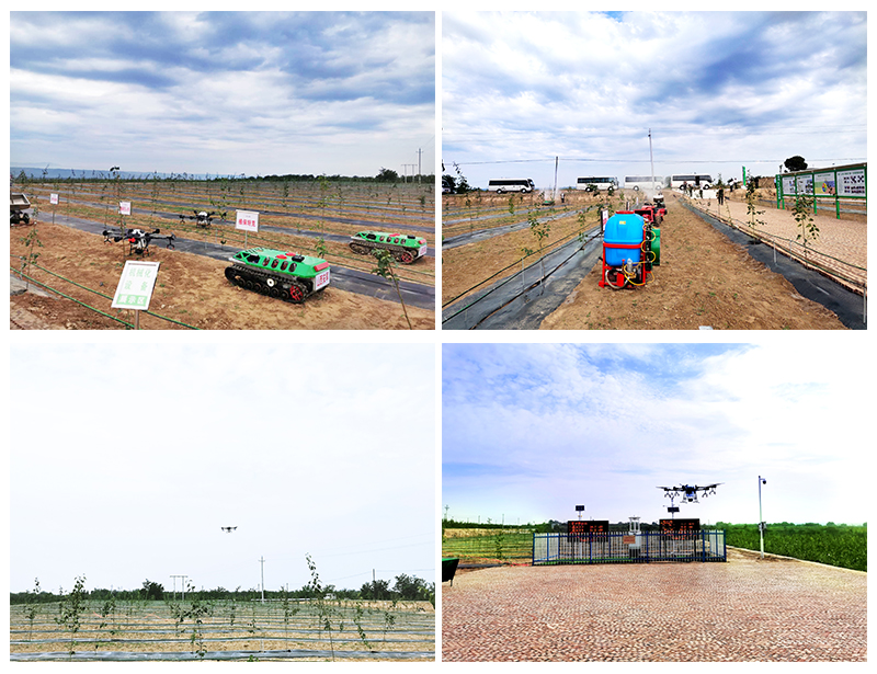 天演維真數(shù)字化鄉(xiāng)村振興