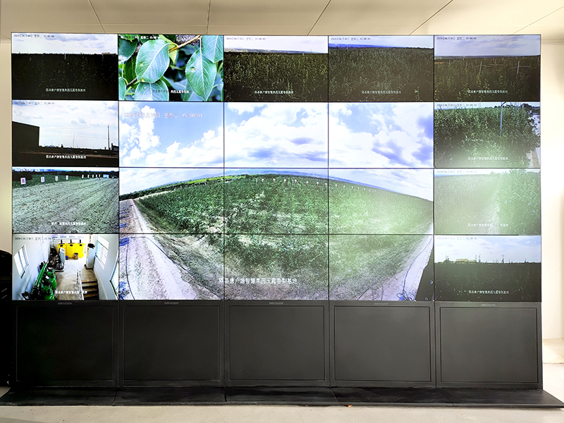 天演維真數(shù)字化鄉(xiāng)村振興