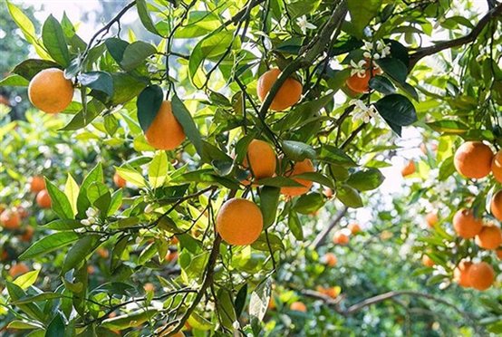 微信图片_2025-09-15_143737_575